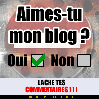 Aimes-tu mon blog ?